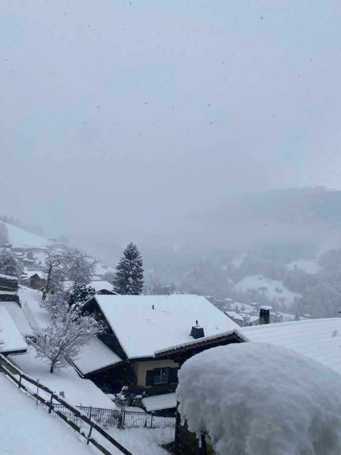 Rooms With Private Bathrooms Saas im Prattigau المظهر الخارجي الصورة